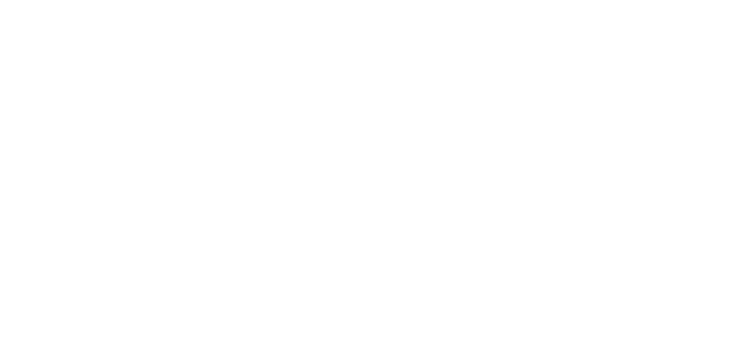 DIF Celaya
