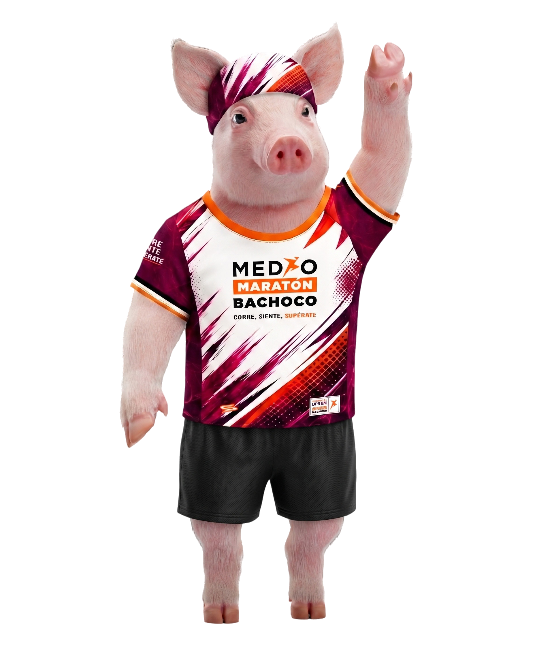 Cerdo corredor