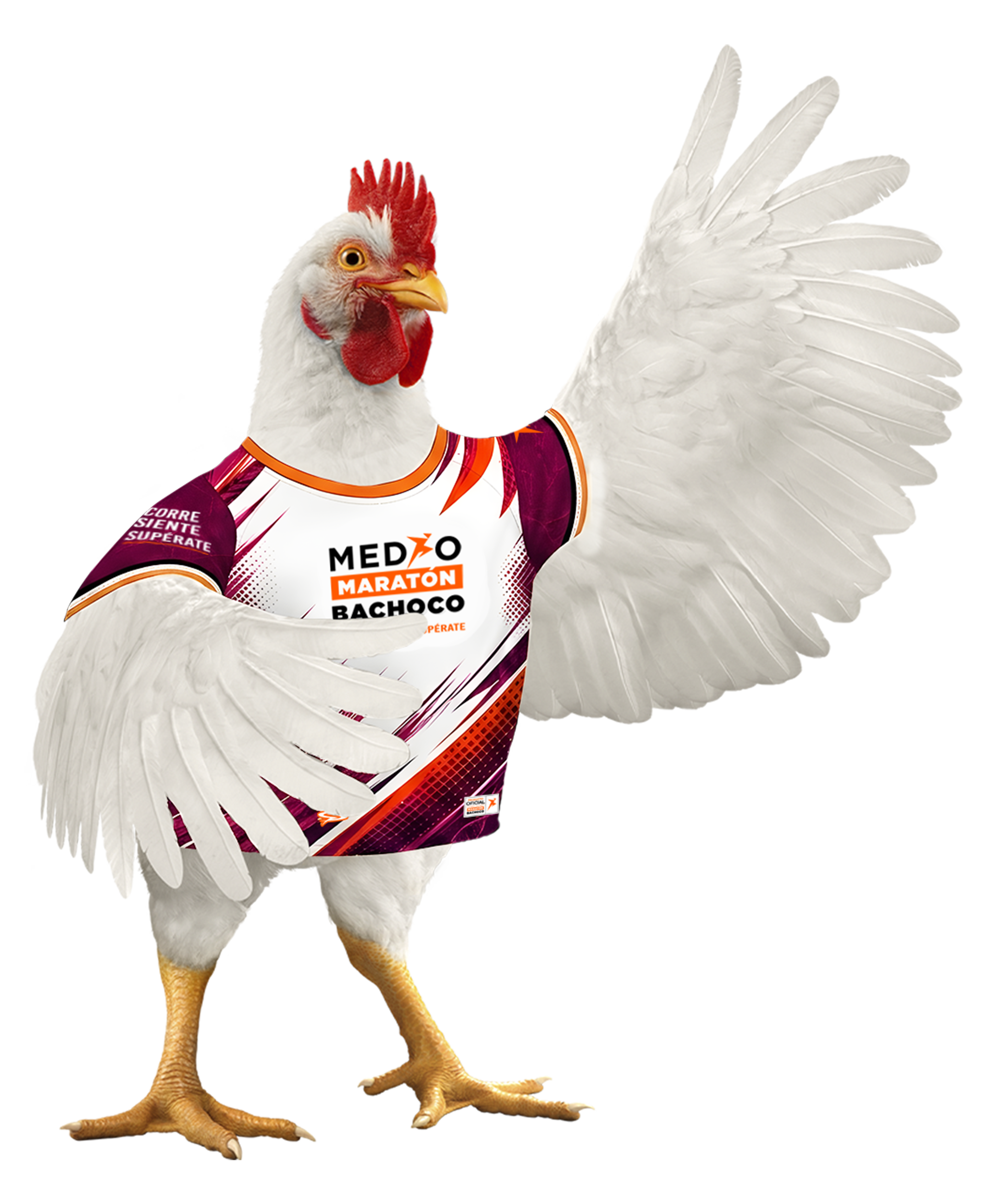 Pollo corredor